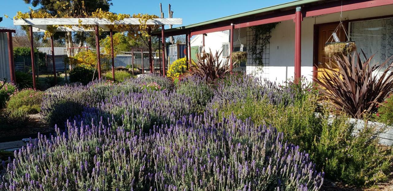 Clunes Motel Экстерьер фото